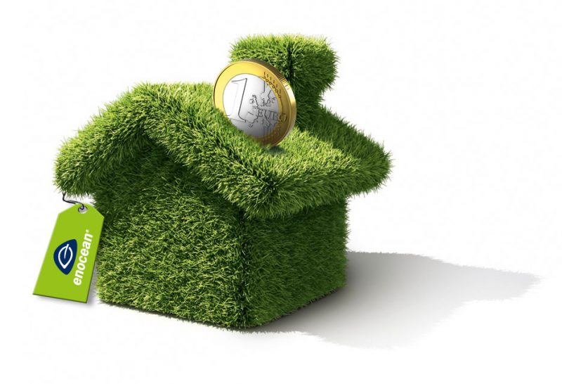 eo_image green_EUR_rgb_72dpi
