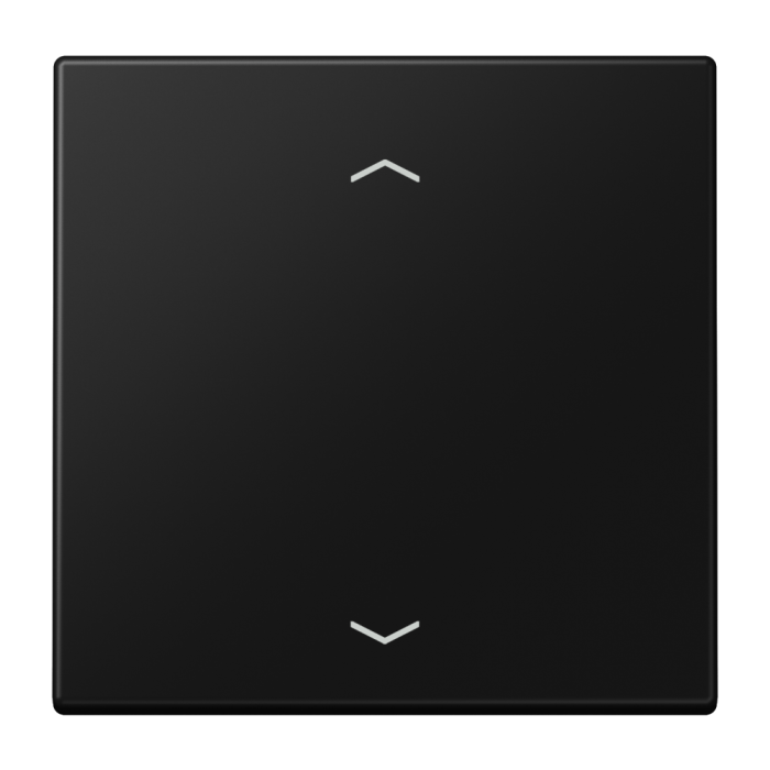 EnOcean radio transmitter 2-channel, matt graphite black, series LS